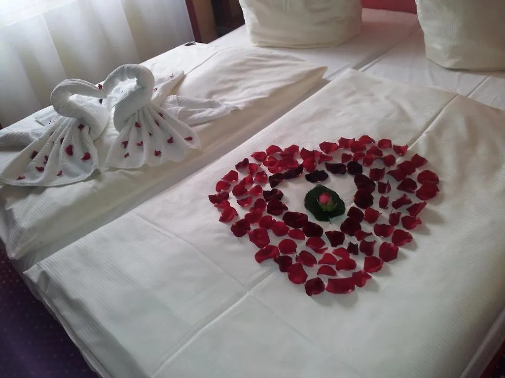 Hotel Best Western Plus Amedia Art Salzburg
